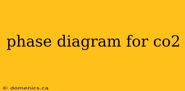 phase diagram for co2