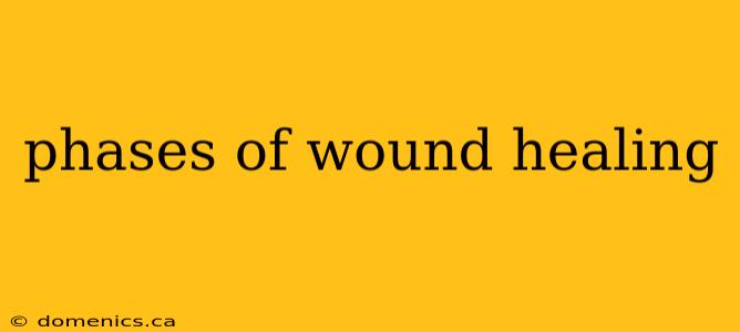 phases of wound healing