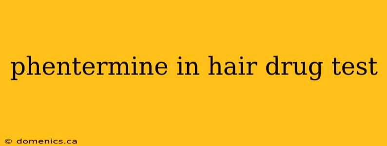 phentermine in hair drug test