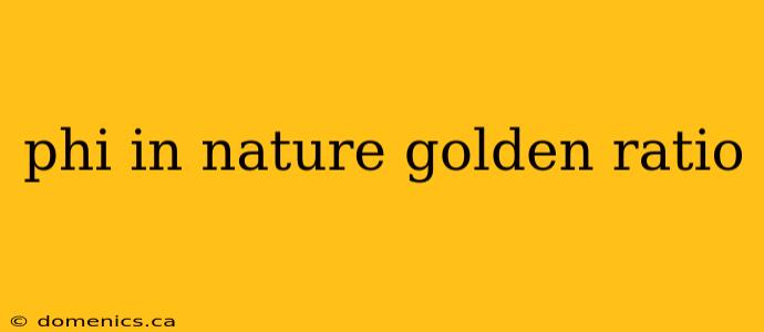 phi in nature golden ratio