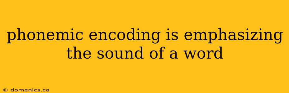 phonemic encoding is emphasizing the sound of a word