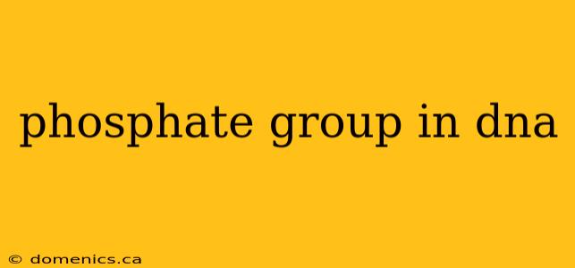 phosphate group in dna