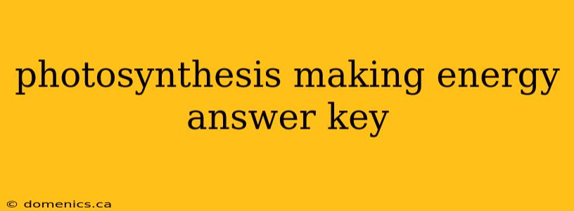 photosynthesis making energy answer key