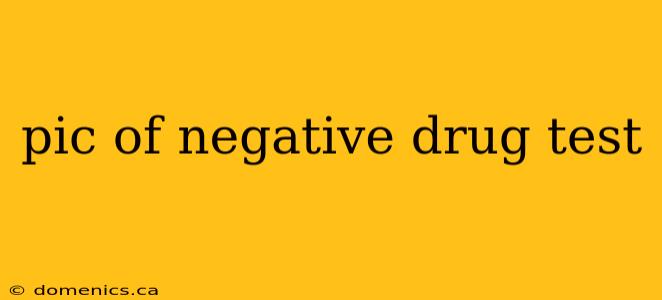 pic of negative drug test