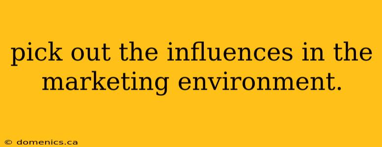 pick out the influences in the marketing environment.