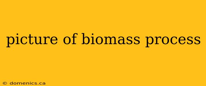 picture of biomass process