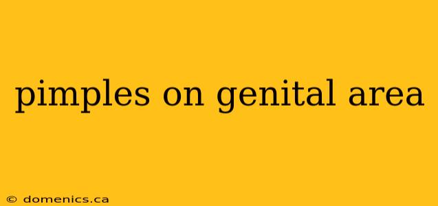 pimples on genital area