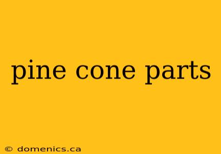 pine cone parts