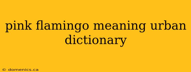 pink flamingo meaning urban dictionary