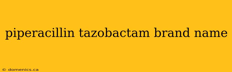 piperacillin tazobactam brand name