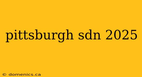 pittsburgh sdn 2025