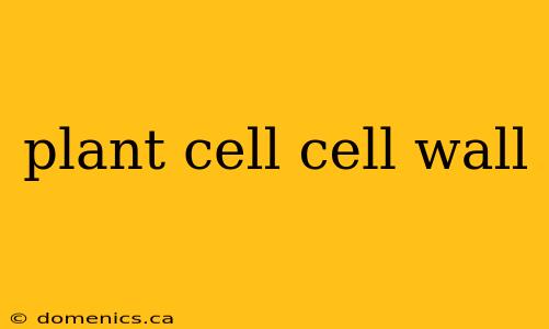 plant cell cell wall