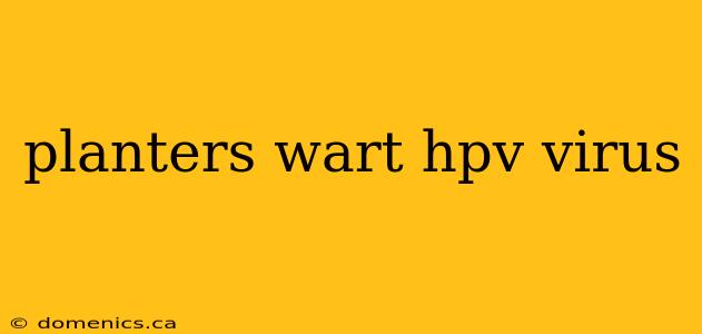 planters wart hpv virus