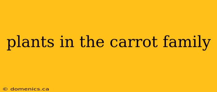 plants in the carrot family