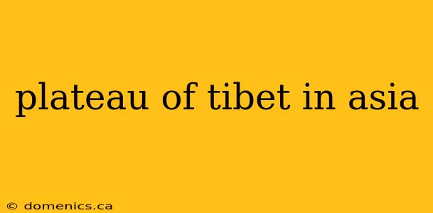 plateau of tibet in asia