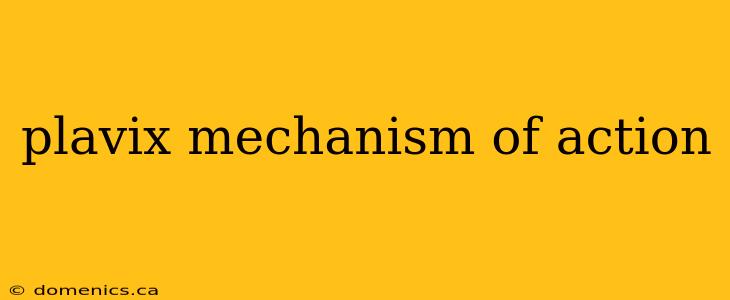 plavix mechanism of action