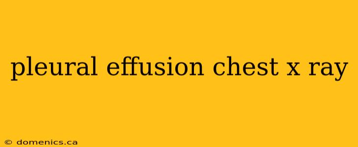 pleural effusion chest x ray