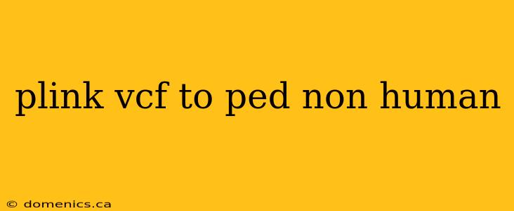 plink vcf to ped non human