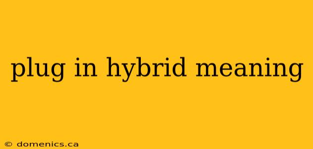 plug in hybrid meaning