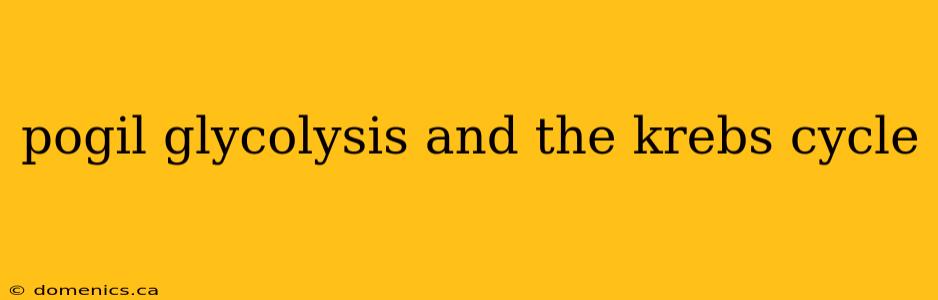 pogil glycolysis and the krebs cycle