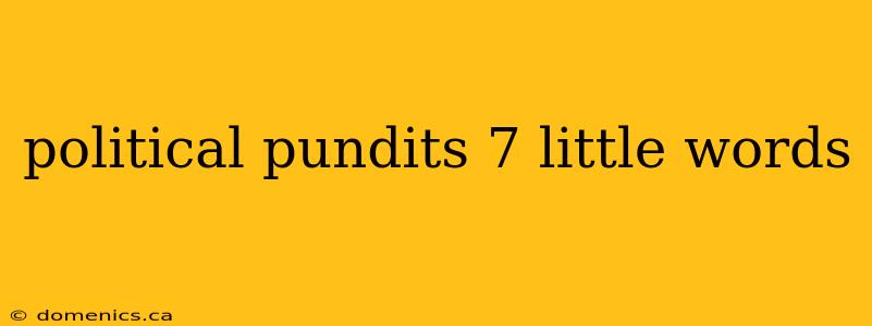 political pundits 7 little words