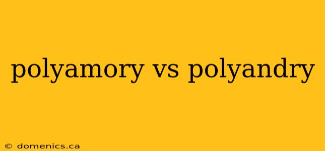 polyamory vs polyandry