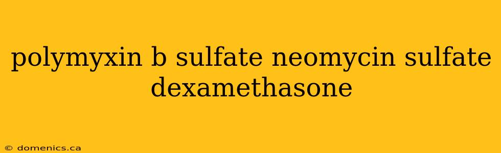 polymyxin b sulfate neomycin sulfate dexamethasone