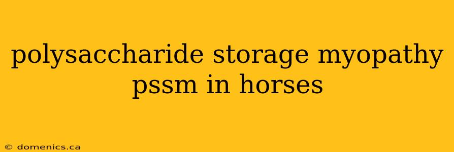 polysaccharide storage myopathy pssm in horses