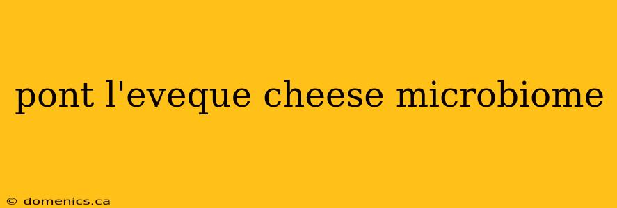 pont l'eveque cheese microbiome