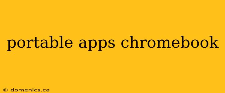 portable apps chromebook