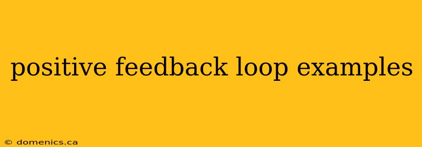 positive feedback loop examples