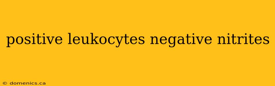 positive leukocytes negative nitrites