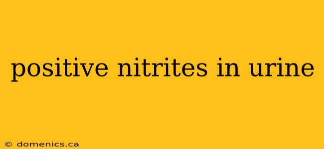 positive nitrites in urine