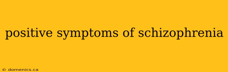 positive symptoms of schizophrenia