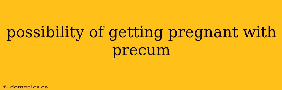 possibility of getting pregnant with precum