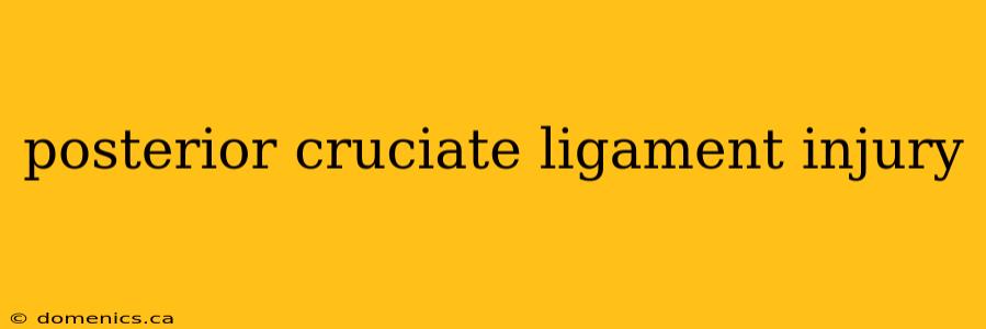 posterior cruciate ligament injury