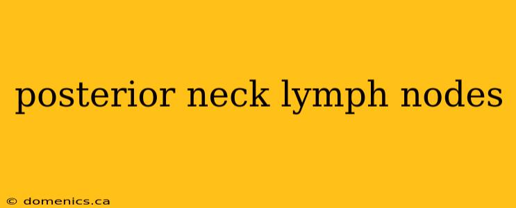 posterior neck lymph nodes