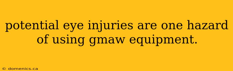 potential eye injuries are one hazard of using gmaw equipment.