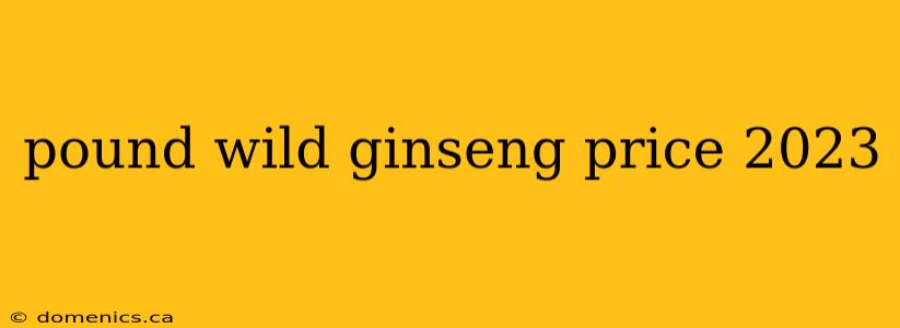 pound wild ginseng price 2023