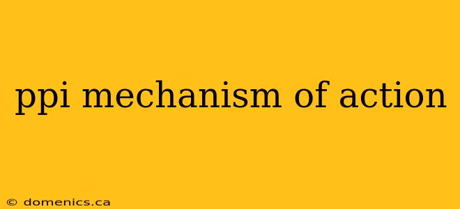 ppi mechanism of action
