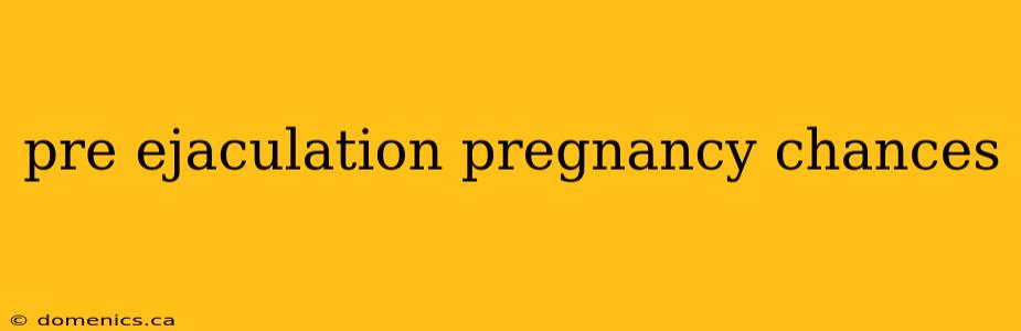 pre ejaculation pregnancy chances