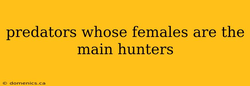 predators whose females are the main hunters