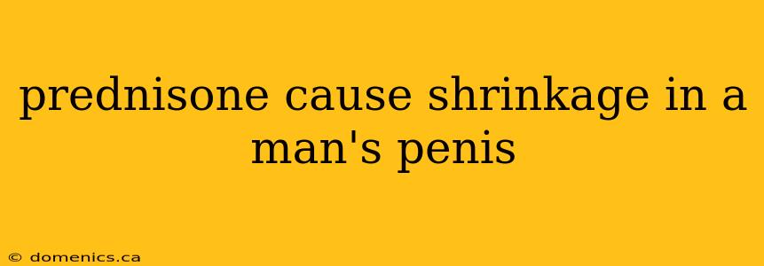 prednisone cause shrinkage in a man's penis