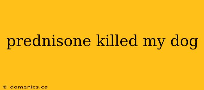 prednisone killed my dog