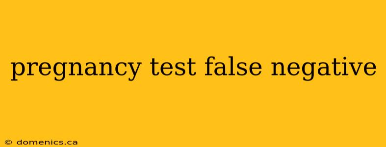 pregnancy test false negative