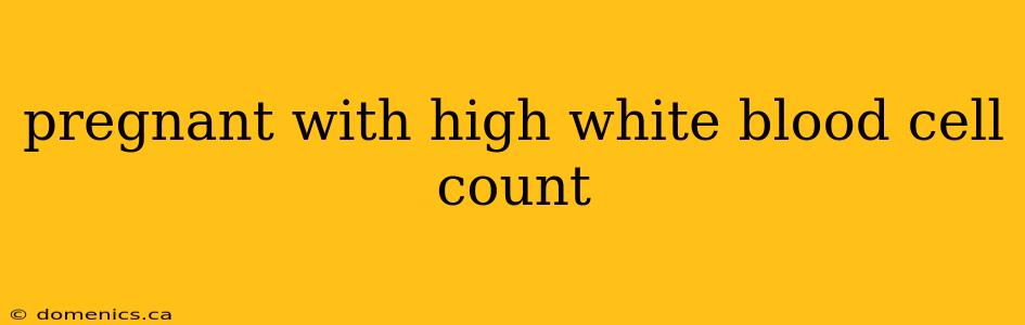 pregnant with high white blood cell count