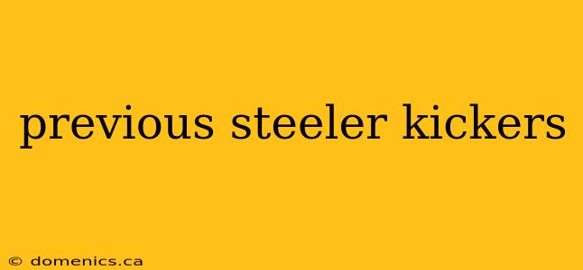 previous steeler kickers