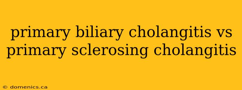 primary biliary cholangitis vs primary sclerosing cholangitis