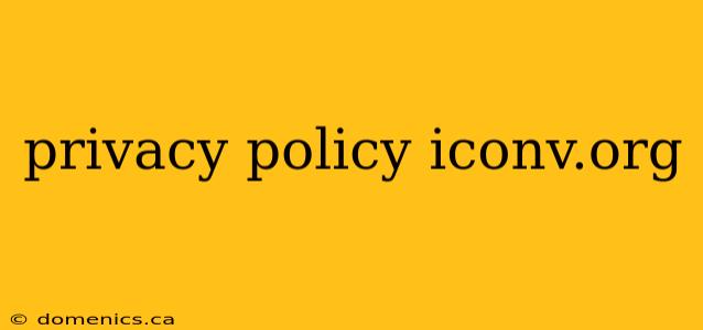 privacy policy iconv.org