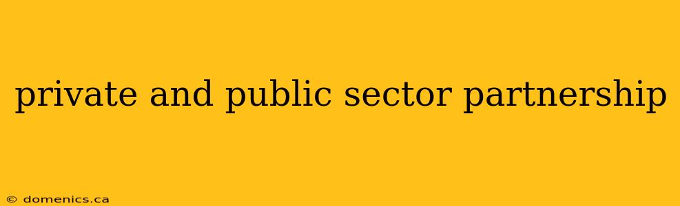 private and public sector partnership